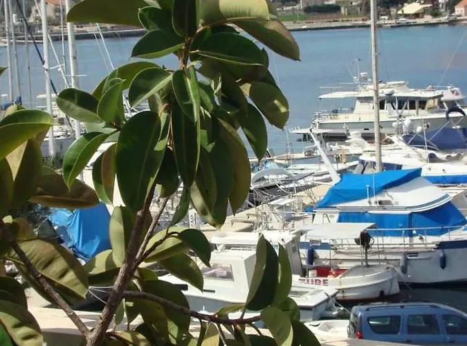 The Olive Tree * Lumbarda