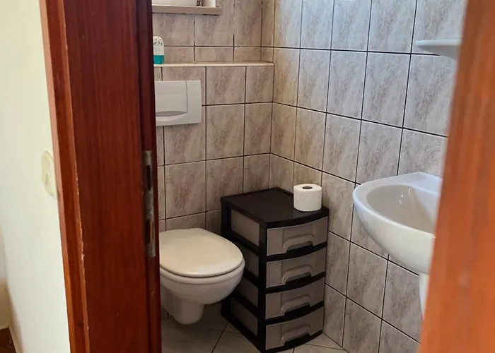 The Olive Tree Apartment